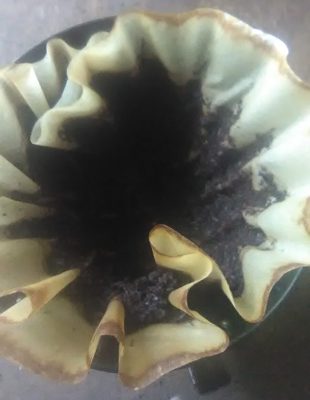 Body Scrub Kopi