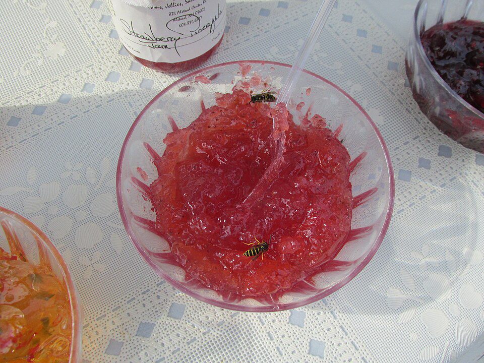 Selai Nanas Homemade