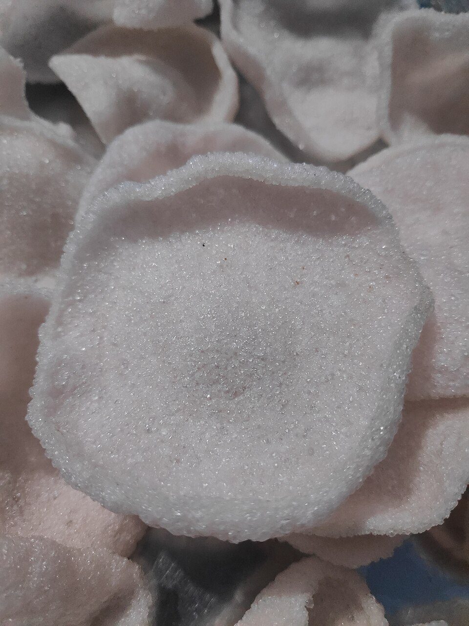 Kerupuk Udang Mentah